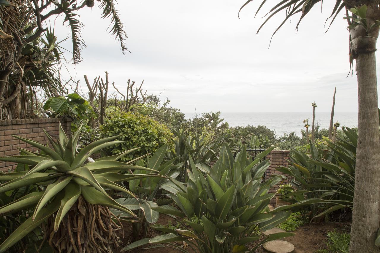 Misty Blue Bed And Breakfast Durban Exterior photo